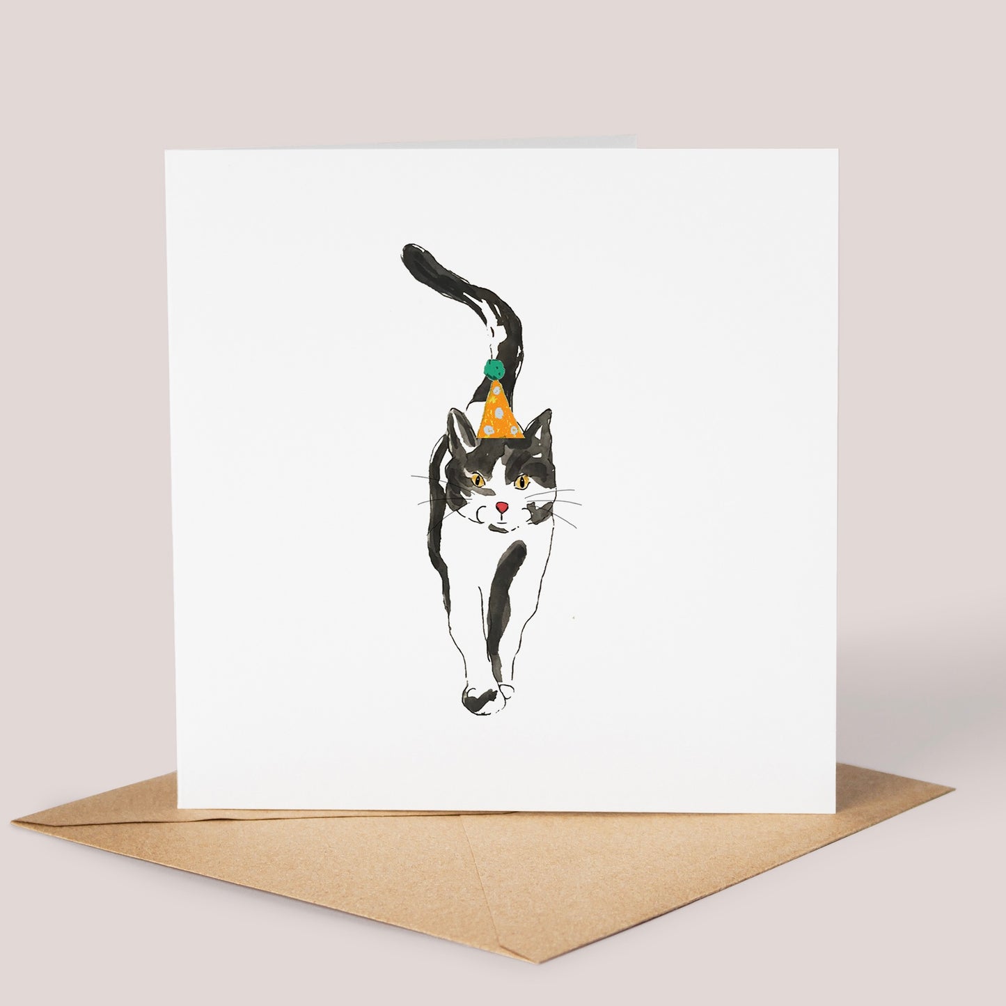 Party Cat In Hat