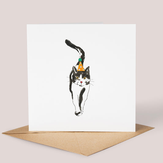 Party Cat In Hat