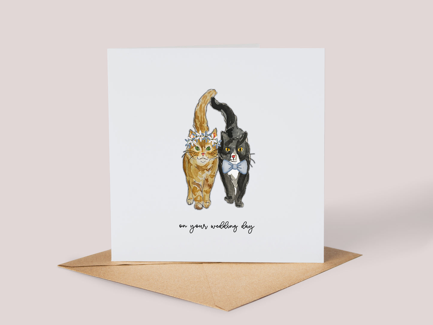 Wedding Day Cats
