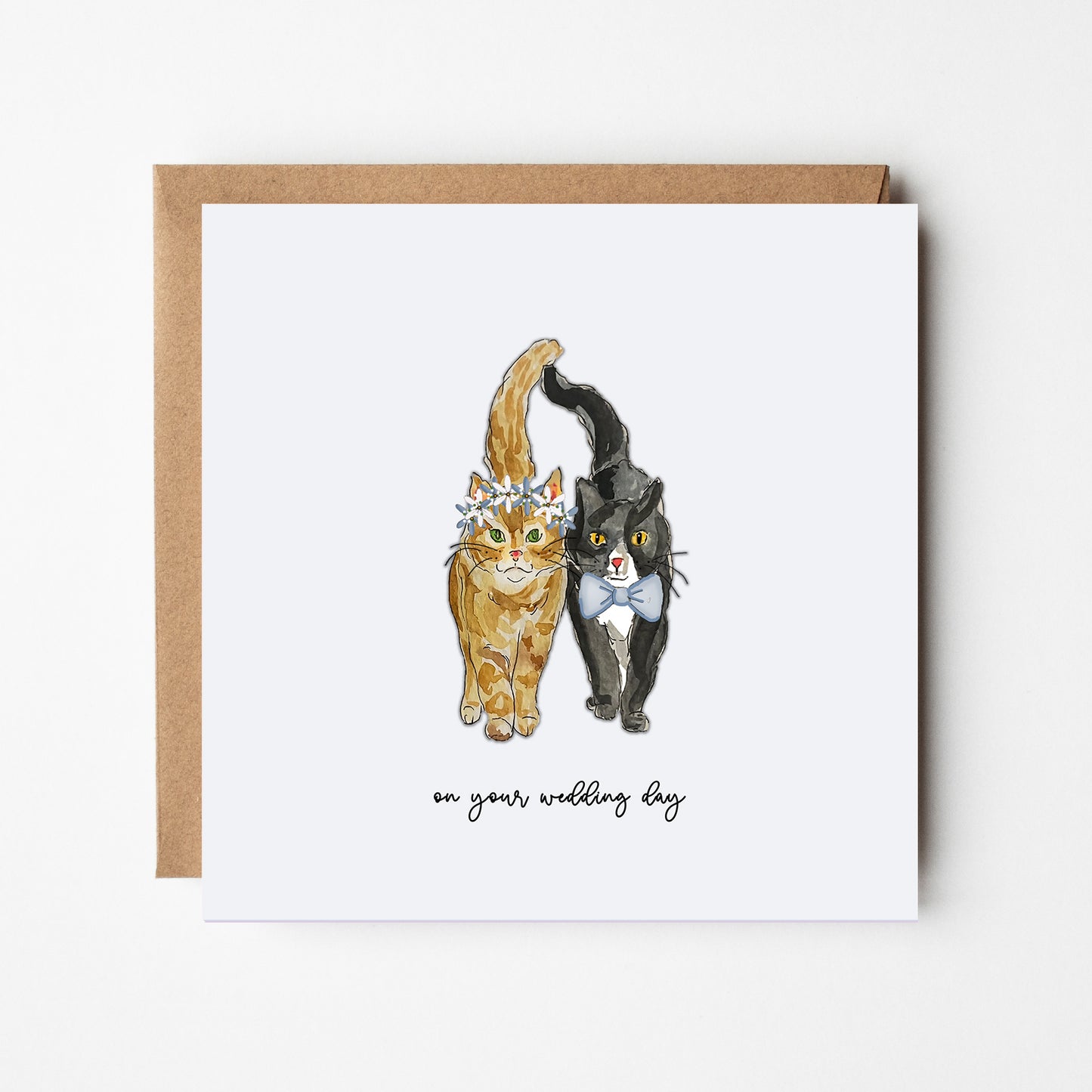 Wedding Day Cats