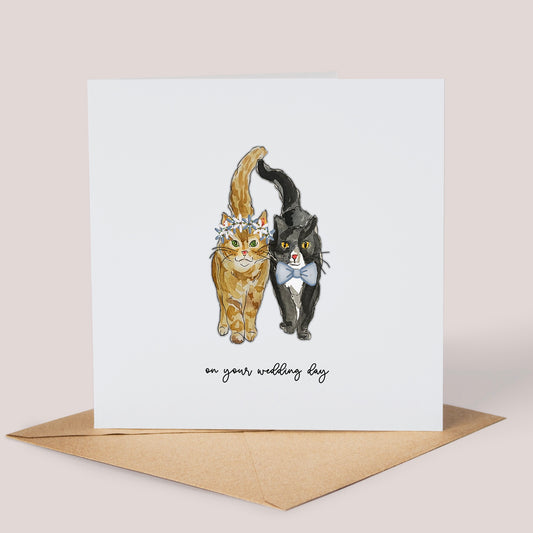 Wedding Day Cats